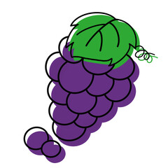 illustration of grapes