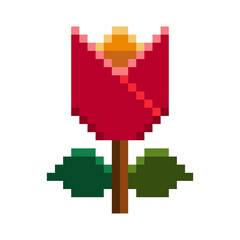 pixel tulip