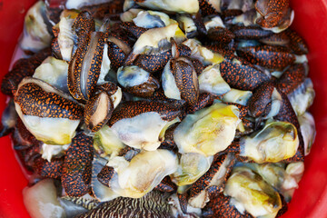 Fresh seafood in traditional market