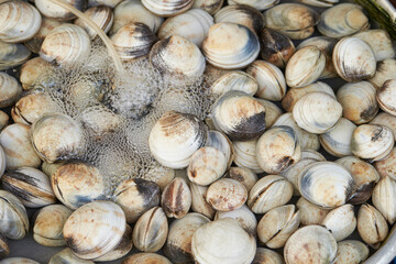 Fresh seafood in traditional market