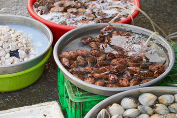 Fresh seafood in traditional market
