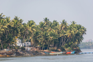 Wooden ships moored on the banks of the Netravati river in a palm fringed fishing village near Mangaluru.