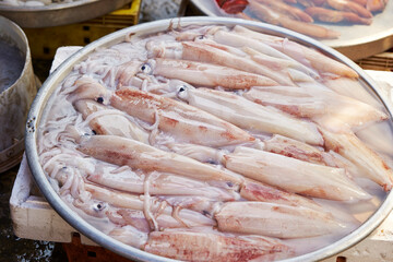 Fresh seafood and squid in traditional market