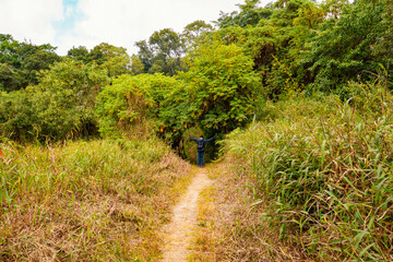 Fototapeta na wymiar A hiker with a backpack walking on a footpath amidst trees in the dense montane forest at Lake Ngosi in Mbeya Region, Tanzania