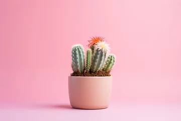Fotobehang Cactus plant and flowers in a clay pot, minimalism, pastel background with copy space © JetHuynh