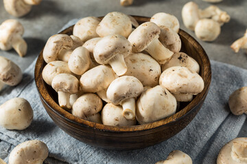 Raw White Organic Champignnon Mushrooms
