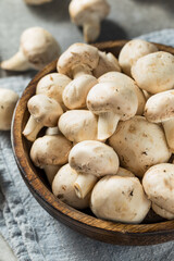 Raw White Organic Champignnon Mushrooms