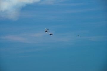 Bethpage Air Show