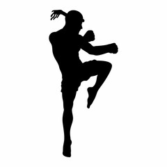 silhouettes of fights with martial arts, fists
