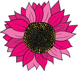 Pink Sunflower Breast Cancer Awareness. Sunflower vector illustration. Sunflower isolated. Botanical floral illustration. Yellow summer flower