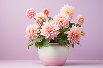 dahlia flowers in a clay pot, minimalism, pastel background, reality, stock photography