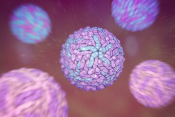 Dengue viruses, 3D illustration