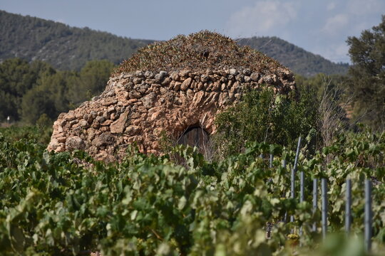 Casa de pag&egrave;s entre vi&ntilde;edos del Baix Pened&egrave;s