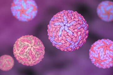 Dengue viruses, 3D illustration
