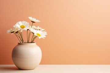 White Daisy flowers in a clay pot, minimalism, pastel background, reality, stock photography, high quality