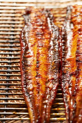 eels split and broiled[grilled] in soy, broiled eels