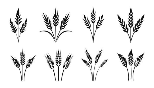 Wheat set ears of wheat logo icon on white background. Vector illustration
