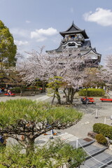 犬山城内庭園から桜と犬山城天守閣
