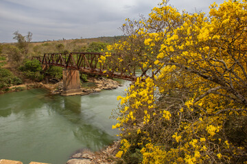 Paisagem com a antiga ponte ferrea Epitacio Pessoa, sobre o Rio Corumba na Cidade de Pires do Rio, com detalhe de alguns ipes amarelos.