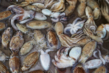 Fresh seafood at traditional market
