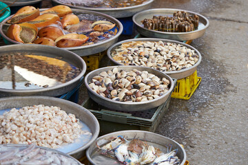 Fresh seafood at traditional market