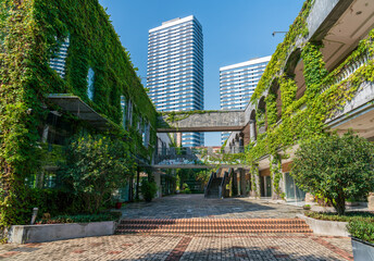 Fototapeta premium Climbing houses full of greenery