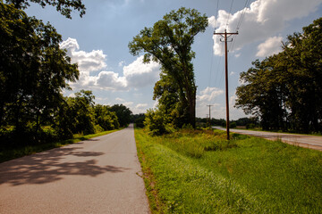 Obraz premium narrow country road with tree 
