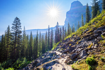 Hike to Consolation Lake.Banff National Park, Canadian Rockies, Alberta, Canada...Banff National...