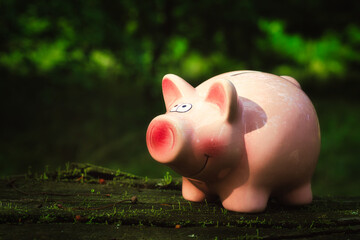 Sparschwein mit Moos - Grüner Hintergrund - Money - Investment - Concept - Green - Background -...