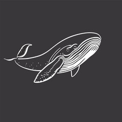 black background, whale whale silhouette mystical whale vector illustration, vector illustration line art
