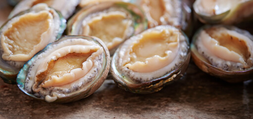 well groomed abalone, food ingredients