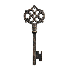 high resolution photograph of a metallic key