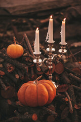 Halloween pumpkins with candlestick by three candles among fallen leaves and branches outdoor