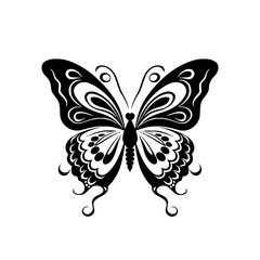 butterfly vector