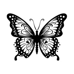 butterfly vector