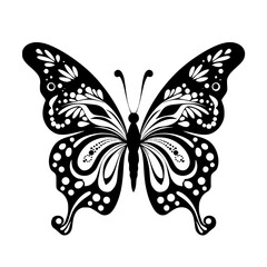 Fototapeta premium butterfly vector