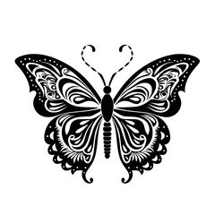 Obraz na płótnie Canvas butterfly vector