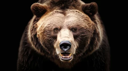 Foto op Plexiglas Portrait of a Brown bear against black background © giedriius