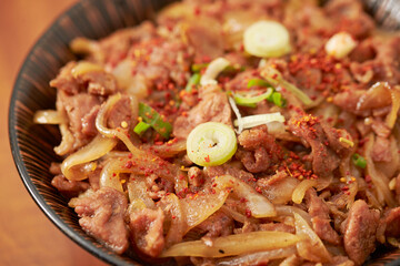 Seasoned Beef Rice Bowl