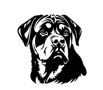 Vector isolated one single Rottweiler dog head front view black and white bw two colors silhouette. Template for laser engraving or stencil