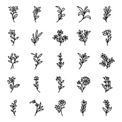 Set of flower and leaves line art vector	
