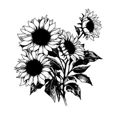 Sunflower Vector