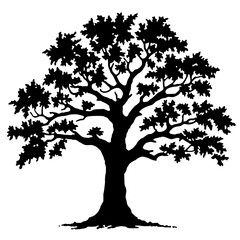 Oak Tree Vector