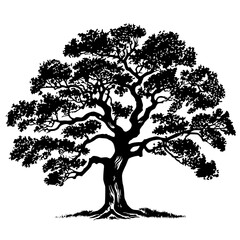 Oak Tree Vector
