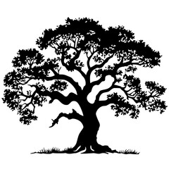 Oak Tree Vector