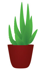 Aloe vera flower. vector illustration