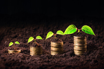 Money growing in soil, The coins are stacked look like the stair on fertile soil with  young green...