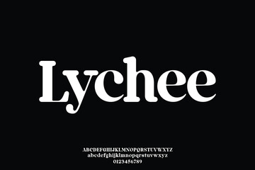 Bold rounded serif typeface display font vector. Unique soft serif typography style