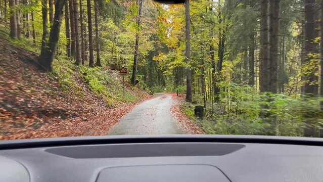 Point of view of car driving on wet forest road in autumn season. Nature connection getaway concept