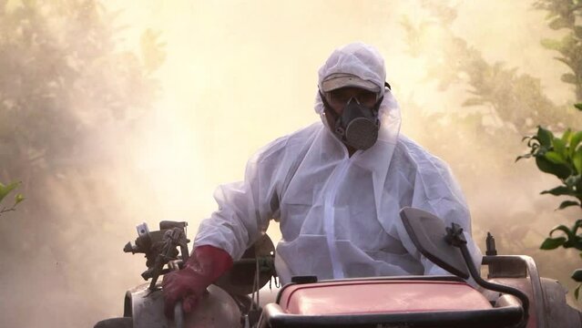 Anonymous farmer spraying pesticide on lemon trees while riding tractor